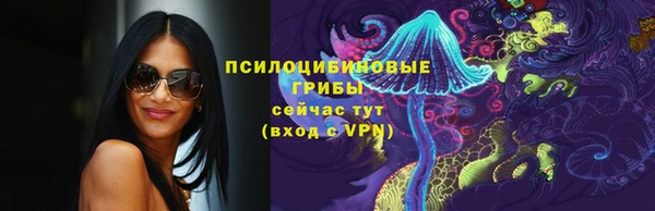 ALPHA-PVP Горняк