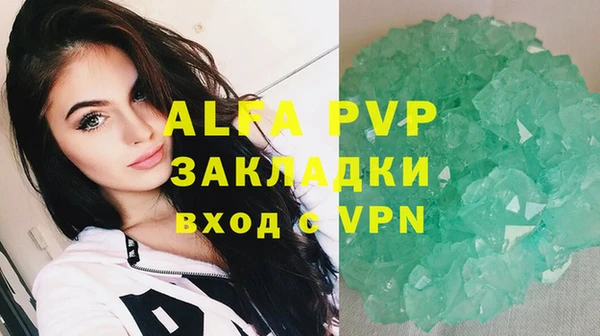 стаф Волоколамск